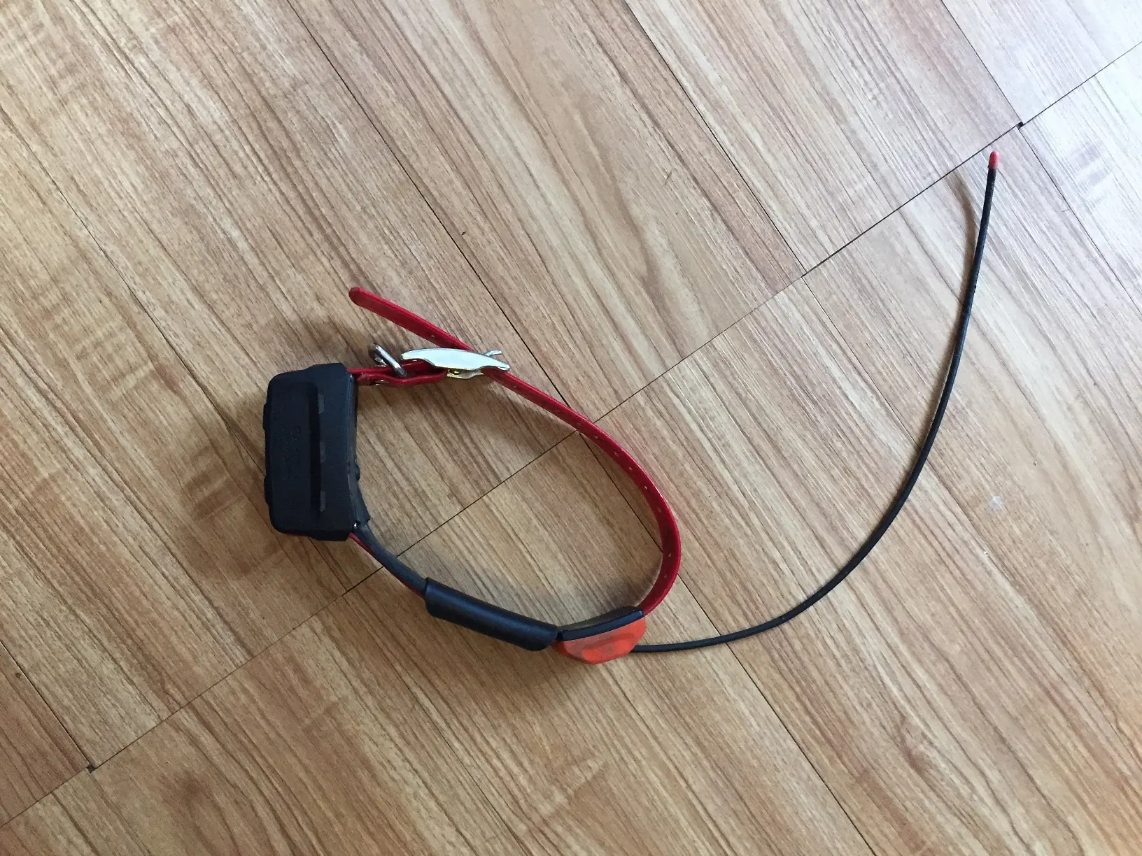 Used Garmin T5 Tracking Collars