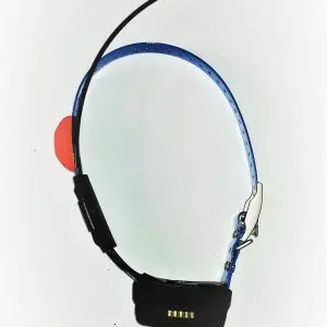 Used Garmin GPS Collars