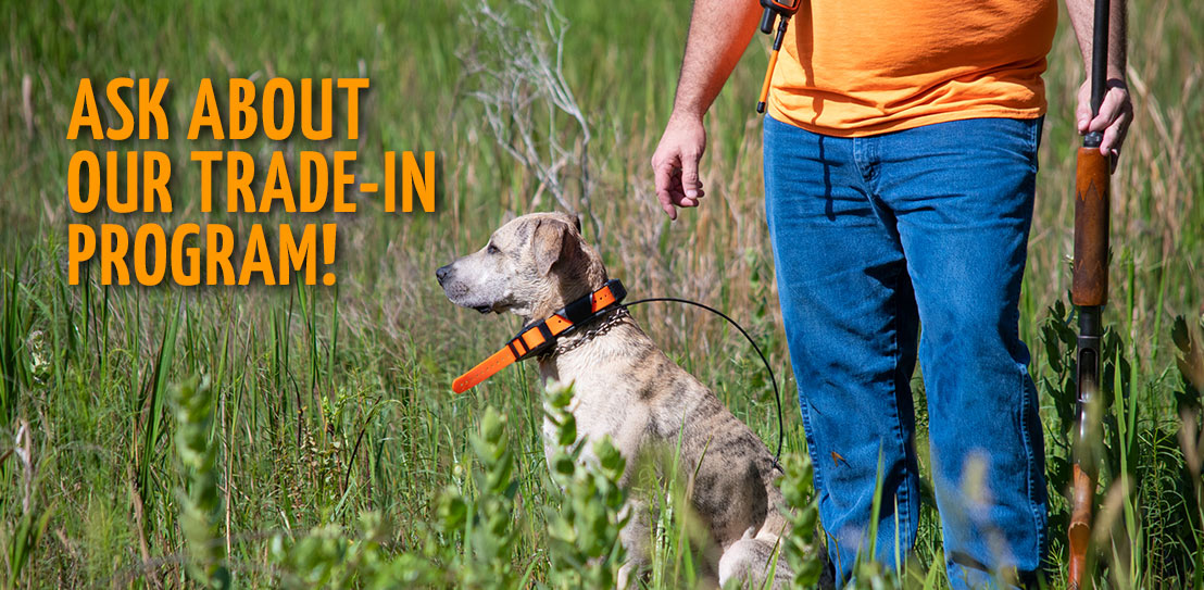 Used Hunting Dog Supplies Trade-In Program