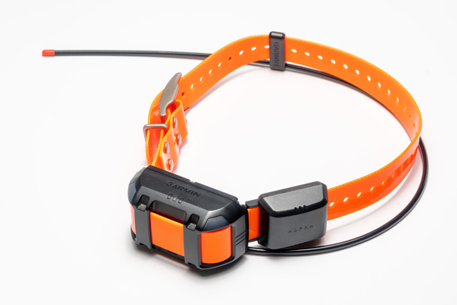 Garmin Alpha® TT 25 Dog Collar Native Dog Supply