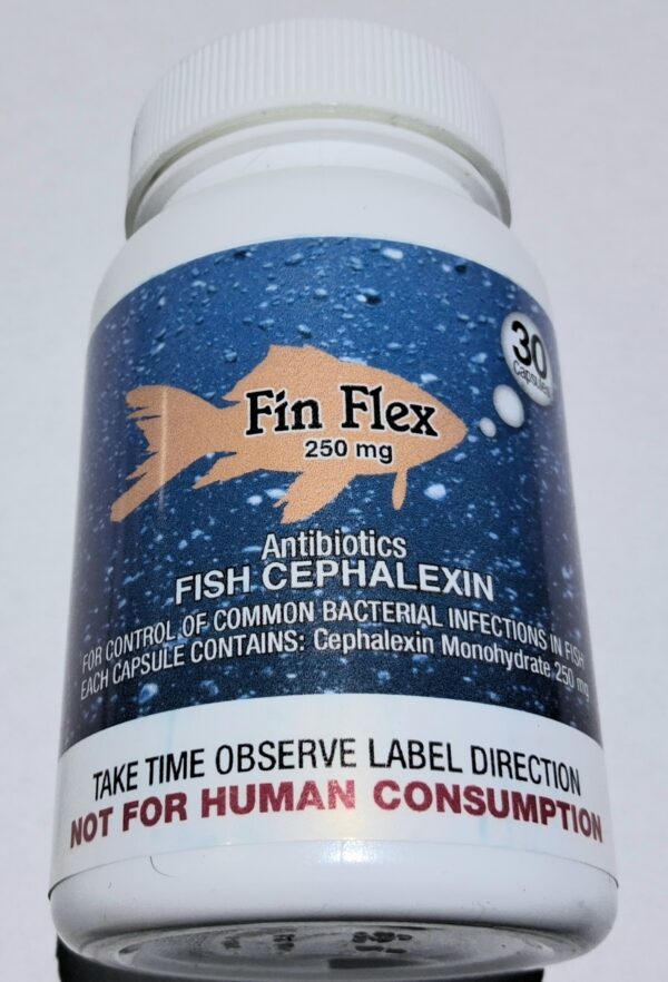 Fin Flex 250mg 30ct
