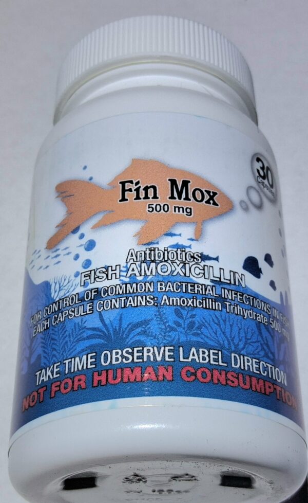 Fin Mox 500mg 30ct