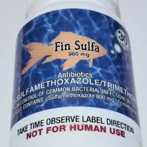 Fin Sulfa 800/160 mg 30ct